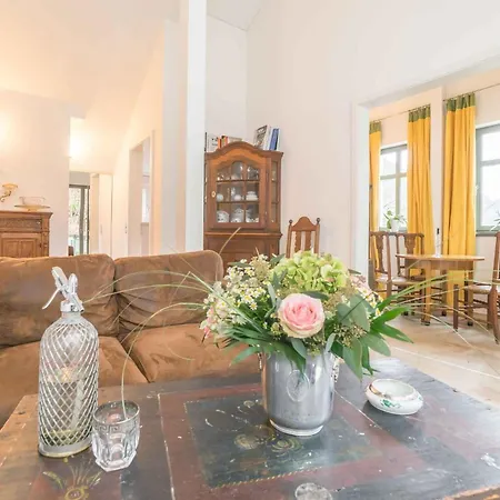 In 41192 Bad Schandau